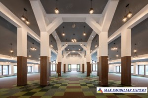 sala-evenimente-crama-1200-mp-teren-148-ha-12-km-campulung-4