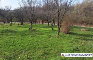 teren-7200-mp-intravilan-cu-casuta-de-demolat-boteni-arges-1