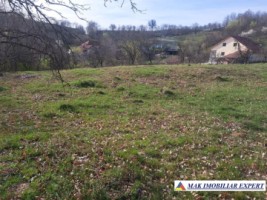 teren-7200-mp-intravilan-cu-casuta-de-demolat-boteni-arges-3