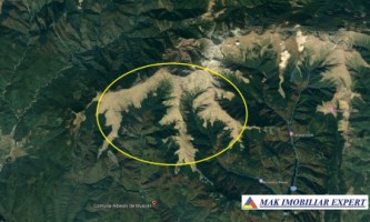 gol-alpin-37-ha-muntele-gol-albestii-de-muscel-arges-1