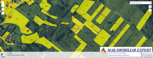 vand-teren-1200-mp-extravilan-stalpeni-arges