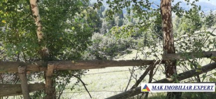 vand-teren-500-mp-in-podul-dambovitei-dambovicioara-arges-8