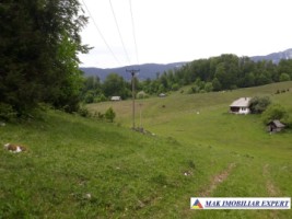 vand-teren-intravilan-712-mp-in-ciocanu-dambovicioara-arges