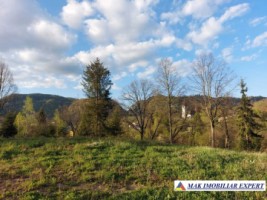 teren-intravilan-3000-mp-podu-dambovitei-dambovicioara-arges-4