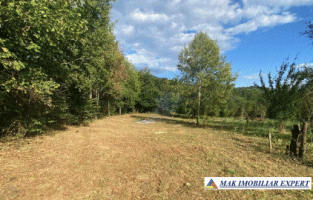 teren-intravilan-1260-mp-corbi-arges-langa-rau