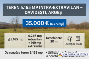 teren-5165-mp-intra-extravilan-davidesti-arges