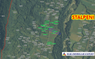 vand-111-ha-teren-intra-extravilan-in-stalpeni-arges-6