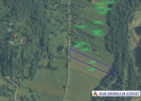 vand-111-ha-teren-intra-extravilan-in-stalpeni-arges-7