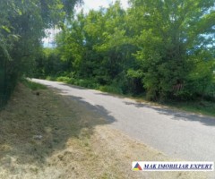 vand-teren-1400-mp-intravilan-stalpeni-arges-4