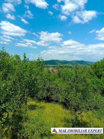 vand-teren-1400-mp-intravilan-stalpeni-arges-2