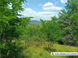 vand-teren-1400-mp-intravilan-stalpeni-arges