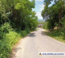 vand-teren-1400-mp-intravilan-stalpeni-arges-8