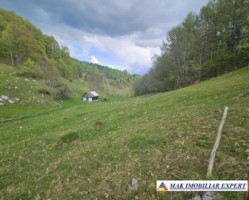 teren-125-ha-de-vanzare-in-ciocanu-dambovicioara-arges-4