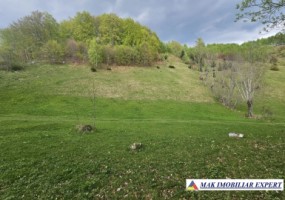 teren-125-ha-de-vanzare-in-ciocanu-dambovicioara-arges-7