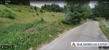 teren-6128-mp-extravilan-in-ciocanu-dambovicioara-arges-1