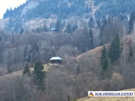 teren-6500-mp-intravilan-in-valea-cheii-dambovicioara-arges-1