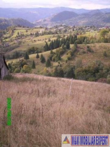 teren-6500-mp-intravilan-in-valea-cheii-dambovicioara-arges-7