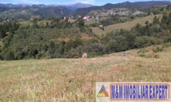 teren-6500-mp-intravilan-in-valea-cheii-dambovicioara-arges-9