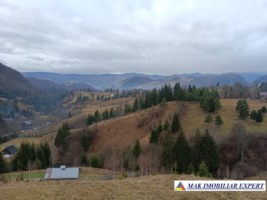 teren-6500-mp-intravilan-in-valea-cheii-dambovicioara-arges-3