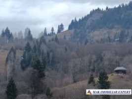 teren-6500-mp-intravilan-in-valea-cheii-dambovicioara-arges-14