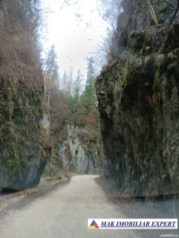 teren-6500-mp-intravilan-in-valea-cheii-dambovicioara-arges-17