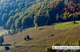 teren-6770-mp-intraextravilan-v-urdii-dambovicioara-arges-1
