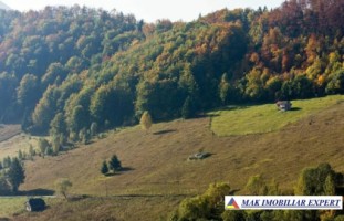 teren-6770-mp-intraextravilan-v-urdii-dambovicioara-arges-3