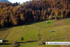 teren-6770-mp-intraextravilan-v-urdii-dambovicioara-arges-5