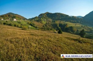 teren-6770-mp-intraextravilan-v-urdii-dambovicioara-arges-6