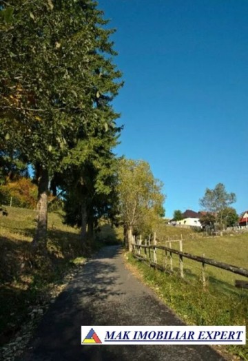 teren-6770-mp-intraextravilan-v-urdii-dambovicioara-arges-4