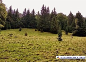 teren-320-ha-extravilan-de-vanzare-in-dambovicioara-arges