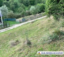 teren-de-vanzare-2564-mp-intravilan-in-rucar-arges-3