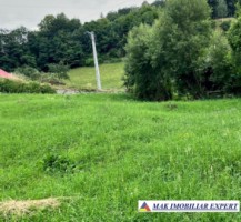 teren-de-vanzare-2564-mp-intravilan-in-rucar-arges-5
