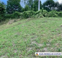 teren-de-vanzare-2564-mp-intravilan-in-rucar-arges-7