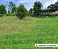 teren-de-vanzare-2564-mp-intravilan-in-rucar-arges-9