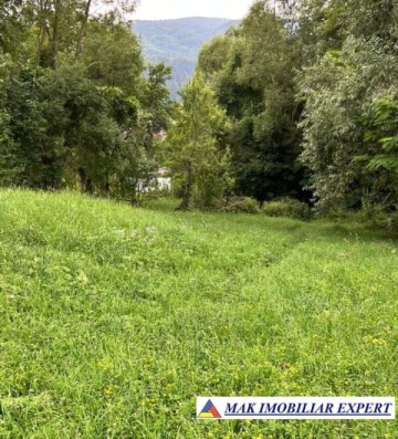 teren-de-vanzare-2564-mp-intravilan-in-rucar-arges-12