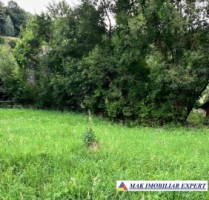 teren-de-vanzare-2564-mp-intravilan-in-rucar-arges-14