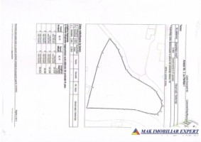 teren-de-vanzare-2564-mp-intravilan-in-rucar-arges-17