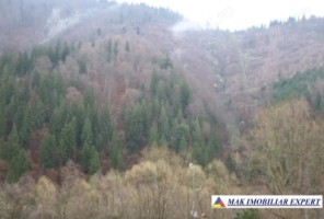 teren-de-vanzare-1000-mp-intravilan-in-satic-rucar-arges-6