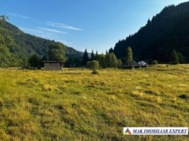 vand-teren-7040-mp-intra-extravilan-satic-rucar-arges-1