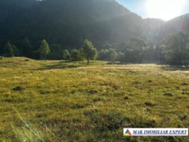 vand-teren-7040-mp-intra-extravilan-satic-rucar-arges-7