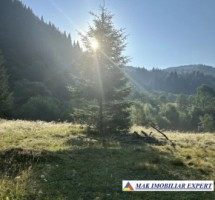 teren-8293-mp-intra-extravilan-in-satic-rucar-arges-5