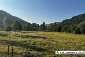 teren-8293-mp-intra-extravilan-in-satic-rucar-arges-1