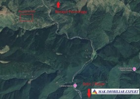 vand-padure-5-ha-satic-rucar-arges-1