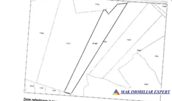 vand-padure-5-ha-satic-rucar-arges-5