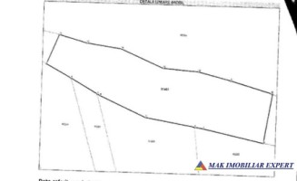 vand-padure-5-ha-satic-rucar-arges-7