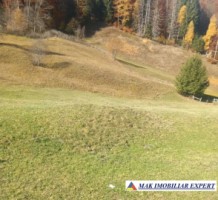 teren-4870-mp-intravilan-rausor-pietrele-albe-rucar-arges-1