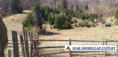 teren-extravilan-6000-mp-de-vanzare-rucar-rausor-arges-6