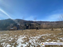 vand-teren-2694-mp-intravilan-rucar-satic-arges-1