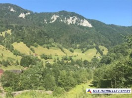 vand-teren-2694-mp-intravilan-rucar-satic-arges-3